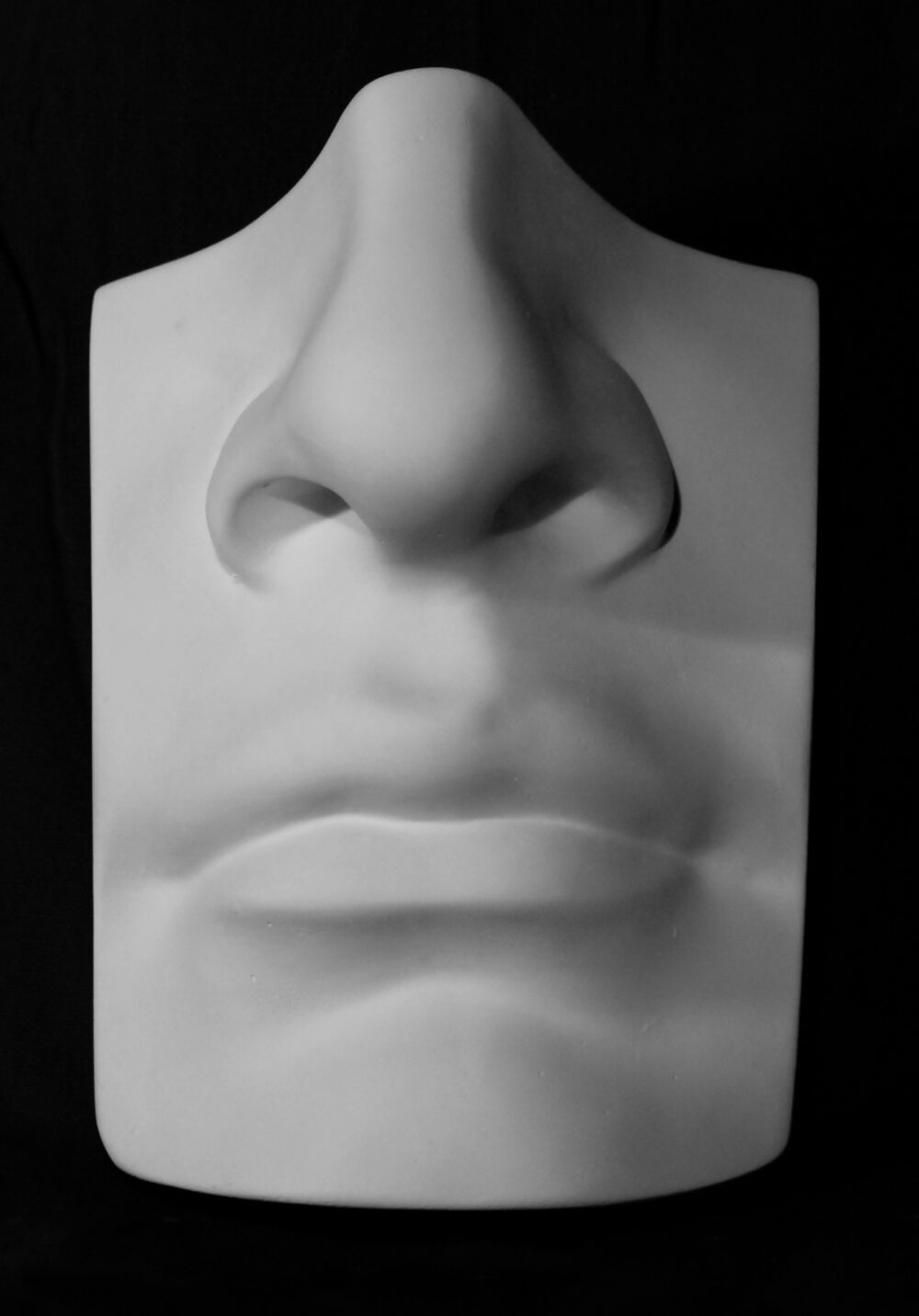 Model din ghips Nas cu buze a lui David. 20-205