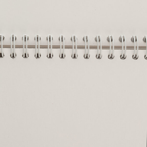 50452688 (3) Sketchbook pentru grafica Sonet cu spira Inspiratie din flori 200g 20,5x14,8cm 20foi albe